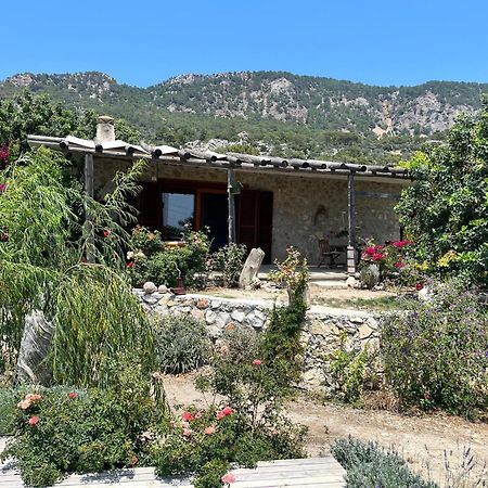 Hotel Beso Patara Extérieur photo